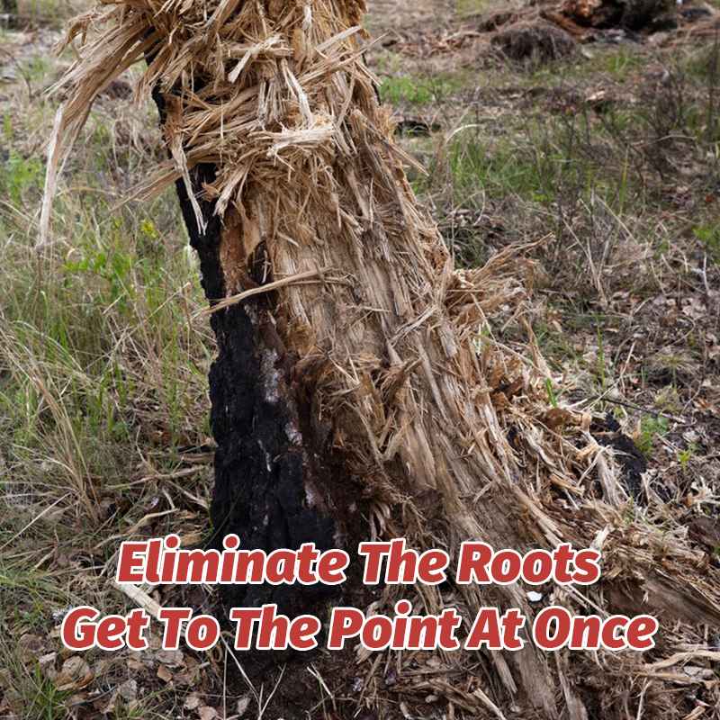 Cyclosinone Herbicide Granules