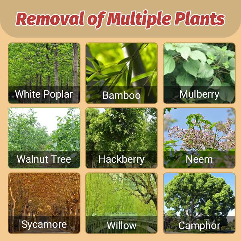 Cyclosinone Herbicide Granules