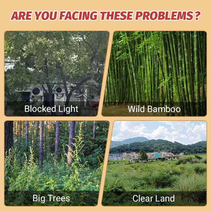 Cyclosinone Herbicide Granules