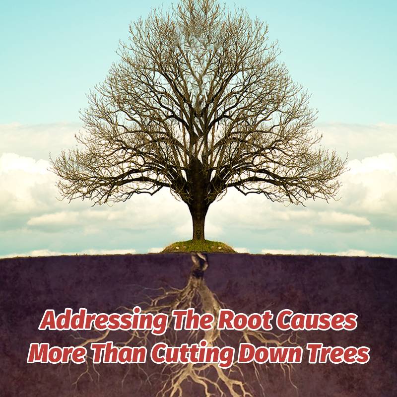 Cyclosinone Herbicide Granules